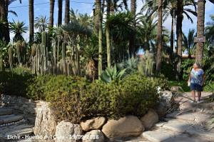 19 ELCHE HUERTO DEL CURA (76)
